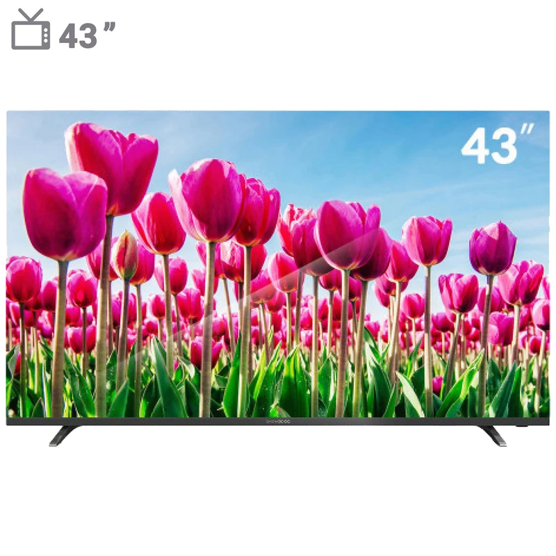 تلویزیون ال ای دی دوو مدل DLE 43 M 6000 EM سایز 43 اینچ